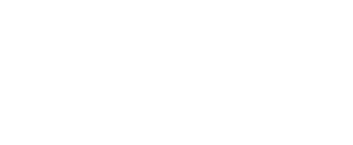 Data-Mania